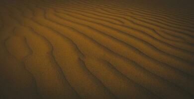 zand duinen in las pampa, Argentinië foto