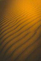 zand duinen in las pampa, Argentinië foto