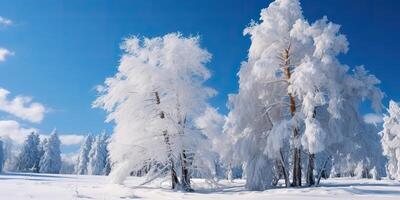 ai gegenereerd. ai generatief. winter Woud boom winter sneeuw tuin park landschap. grafisch kunst foto