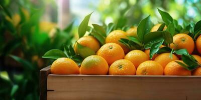 ai gegenereerd. ai generatief. hout doos van vers sinaasappelen. boerderij oogst eco natuur biologisch fruit Gezondheid Product. grafisch kunst foto
