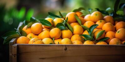 ai gegenereerd. ai generatief. hout doos van vers sinaasappelen. boerderij oogst eco natuur biologisch fruit Gezondheid Product. grafisch kunst foto