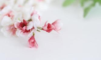 bloemen samenstelling. frame gemaakt van witte tedere bloemen op een witte achtergrond. plat leggen, ruimte kopiëren foto