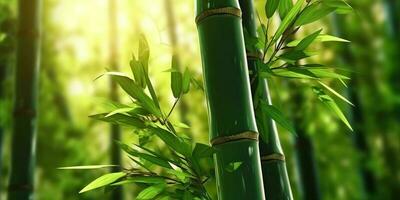 ai gegenereerd. ai generatief. eco groen blad fabriek boom bamboe. Aziatisch Japan Chinese cultuur traditie uitstraling. grafisch kunst foto