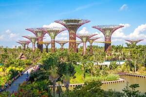 afbeelding over- de tuinen door de baai in Singapore in de jaar 2012 foto