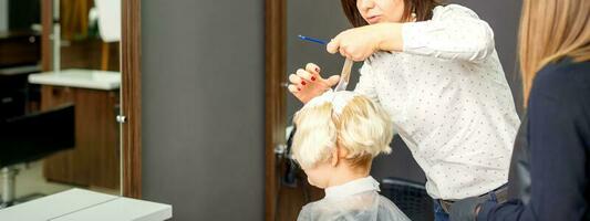 de professioneel kapper is verven de haar- van haar vrouw cliënt in een schoonheid salon. foto