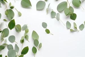 eucalyptus bladeren Aan wit achtergrond. vlak leggen, top visie, kopiëren ruimte. foto