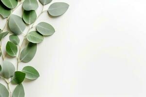 eucalyptus bladeren Aan wit achtergrond. vlak leggen, top visie, kopiëren ruimte. ai generatief foto