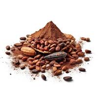 cacao Aan wit achtergrond. generatief ai foto