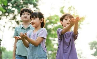 groep beeld van schattig Aziatisch kinderen spelen in de park foto