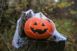 halloween jack-o-lantern Aan een oud stomp in de herfst Woud. foto