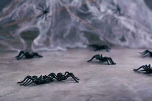 halloween achtergrond zwart spinnen en spinnenwebben Aan grijs foto