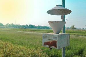 licht val of insect moordenaar lamp of zonne- insect moordenaar lamp Aan veld- foto