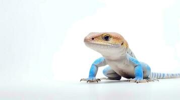 foto van een blauw tong skink Aan wit achtergrond. generatief ai