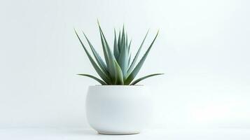 foto van agave in minimalistische pot net zo kamerplant voor huis decoratie geïsoleerd Aan wit achtergrond. generatief ai