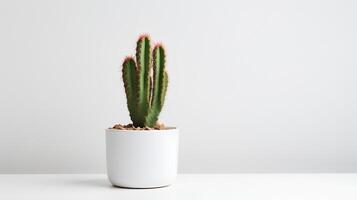 foto van cactus in minimalistische pot net zo kamerplant voor huis decoratie geïsoleerd Aan wit achtergrond. generatief ai