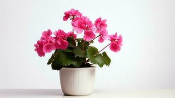 foto van geranium in minimalistische pot net zo kamerplant voor huis decoratie geïsoleerd Aan wit achtergrond. generatief ai