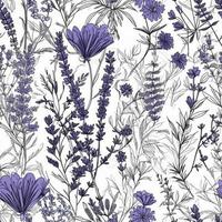 blauw lavendel met bloem wit achtergrond foto