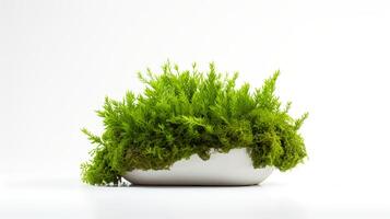 foto van Java mos in minimalistische pot net zo kamerplant voor huis decoratie geïsoleerd Aan wit achtergrond. generatief ai