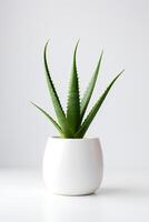 foto van aloë vera in minimalistische pot net zo kamerplant voor huis decoratie geïsoleerd Aan wit achtergrond. generatief ai