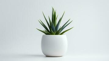 foto van agave in minimalistische pot net zo kamerplant voor huis decoratie geïsoleerd Aan wit achtergrond. generatief ai