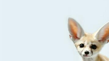 foto van een fennec vos Aan wit achtergrond. generatief ai