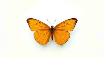 foto van een monarch boterachtig Aan wit achtergrond. generatief ai