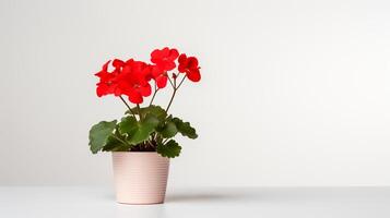 foto van geranium in minimalistische pot net zo kamerplant voor huis decoratie geïsoleerd Aan wit achtergrond. generatief ai