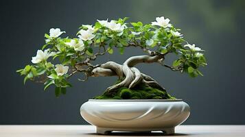 foto van bonsai in minimalistische pot net zo kamerplant voor huis decoratie geïsoleerd Aan wazig achtergrond. generatief ai