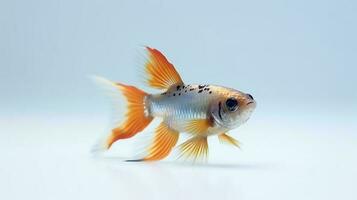 foto van een guppy's vis Aan wit achtergrond. generatief ai