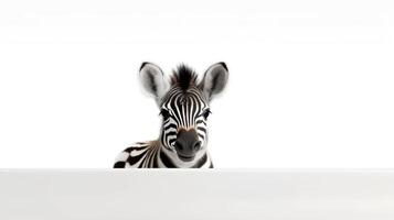 foto van een schattig zebra Aan wit achtergrond. gemaakt door generatief ai