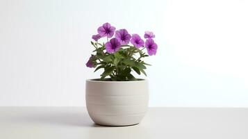 foto van petunia in minimalistische pot net zo kamerplant voor huis decoratie geïsoleerd Aan wit achtergrond. generatief ai