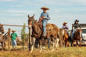 aporie, goias, Brazilië - 05 07 2023 te paard rijden evenement Open naar de openbaar foto