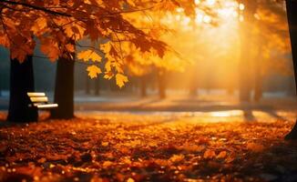 herfst bomen park achtergrond foto