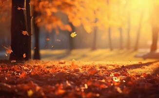 herfst bomen park achtergrond foto