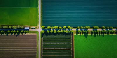 generatief ai, boerderij landschap, agrarisch velden, mooi platteland, land weg. natuur illustratie, fotorealistisch top visie drone, horizontaal spandoek. foto