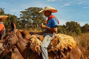 aporie, goias, Brazilië - 05 07 2023 te paard rijden evenement Open naar de openbaar foto