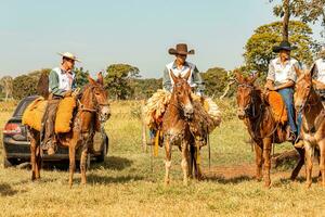 aporie, goias, Brazilië - 05 07 2023 te paard rijden evenement Open naar de openbaar foto