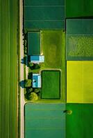 generatief ai, boerderij landschap, agrarisch velden, mooi platteland, land weg. natuur illustratie, fotorealistisch top visie drone, verticaal formaat foto