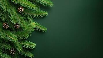 Kerstmis groen achtergrond met Spar takken foto