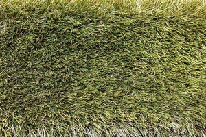achtergrond van groene lente gras. textuur. achtergrond foto