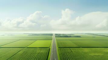 generatief ai, boerderij landschap, agrarisch velden, mooi platteland, land weg. natuur illustratie, fotorealistisch top visie drone, horizontaal spandoek. foto