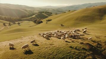 generatief ai, mooi groen bergen landschap met kudde van schapen begrazing Aan weelderig gras Aan bouwland foto
