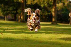 een dichtbij - omhoog schot van een blij, hond rennen door de park. generatief ai foto