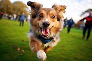 een dichtbij - omhoog schot van een blij, hond rennen door de park. generatief ai foto