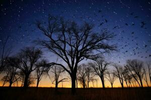 een verbijsterend lang - blootstelling schot van dor bomen tegen de backdrop van een starlit nacht lucht. generatief ai foto