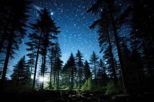 sterrenhemel nacht lucht met de silhouet van pijnboom bomen in de voorgrond. generatief ai foto