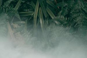 verticale tuin met tropisch groen blad met mist en regen, donkere toon foto