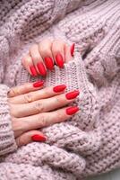 vrouwen handen met een mooi matte ovaal manicure in een warm roze gebreid trui. winter tendens, Hoes rood nagels met gel Pools, schellak. auteursrechten. foto