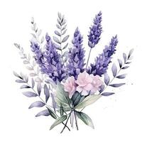 waterverf lavendel achtergrond foto