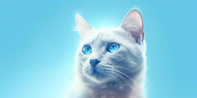 kat portret Aan minimaal blauw achtergrond voor banners ai generatief foto